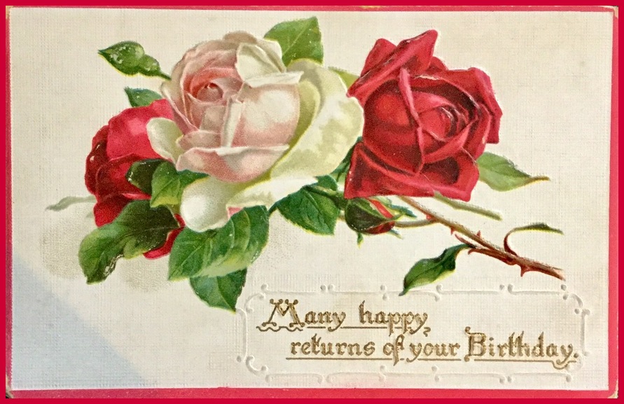 Coming Up Roses by Yesterdays-Paper on DeviantArt