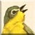 Yellowthroat Warbler Icon - Right