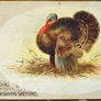 Cordial Tom Turkey