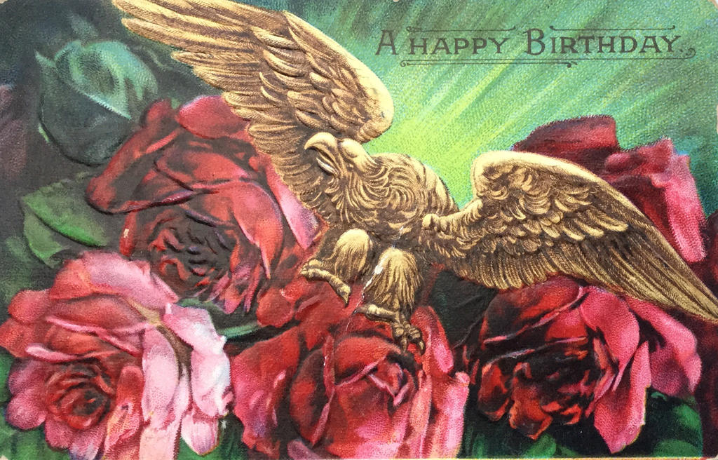 Wild Eagle Roses Regal Eagle and Roses by Yesterdays-Paper on DeviantArt