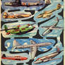 Vintage Flying Machines