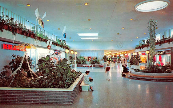 Vintage Shopping - Eastridge Mall, San Jose CA by Yesterdays-Paper