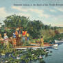 Vintage Florida - Indigenous Everglades