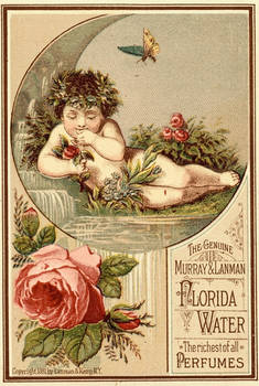 Victorian Advertising - Precious