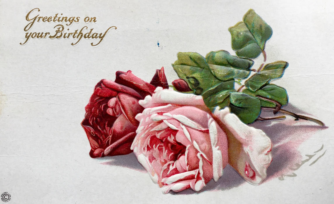 Luscious Rosy Greetings on Your Birthday by Yesterdays-Paper on DeviantArt