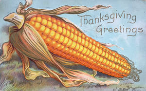 Wishing You An a-MAIZE-ing Thanksgiving