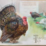 Thanksgiving Proclamation