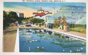 Vintage New York - Botanical Garden, Prospect Park