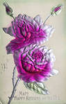 A Spark of Silver, A Spray of Fuchsia. . . by Yesterdays-Paper