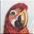 Vintage Greenwing Macaw Icon - right by Yesterdays-Paper