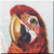 Vintage Greenwing Macaw Icon - left by Yesterdays-Paper