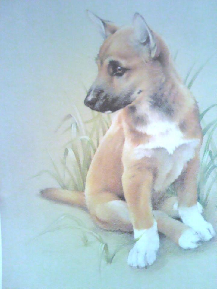 Dingo Painting :)