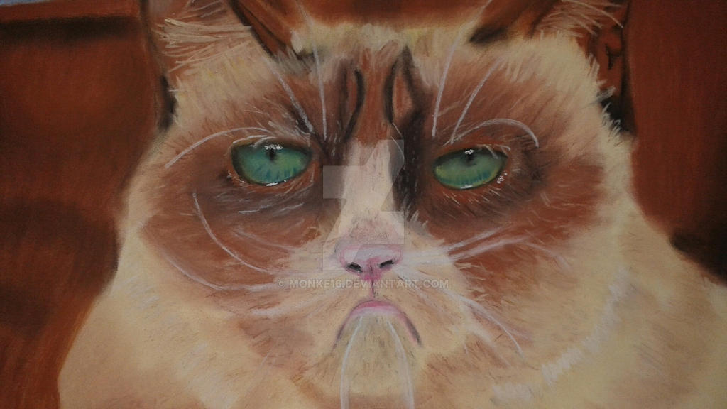 Grumpy Cat Rip Deviantart Better picture of Grumpy Cat! by monke16 on DeviantArt