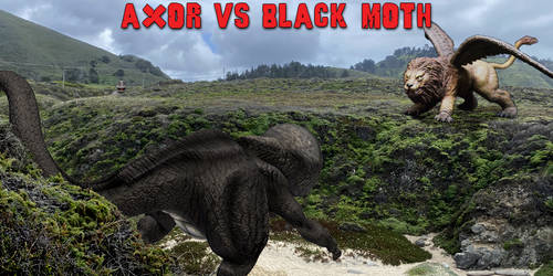 Axor vs Black Moth