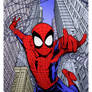 Spidey NYC by Patrick Scherberger