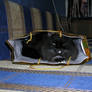 The cat in the bag