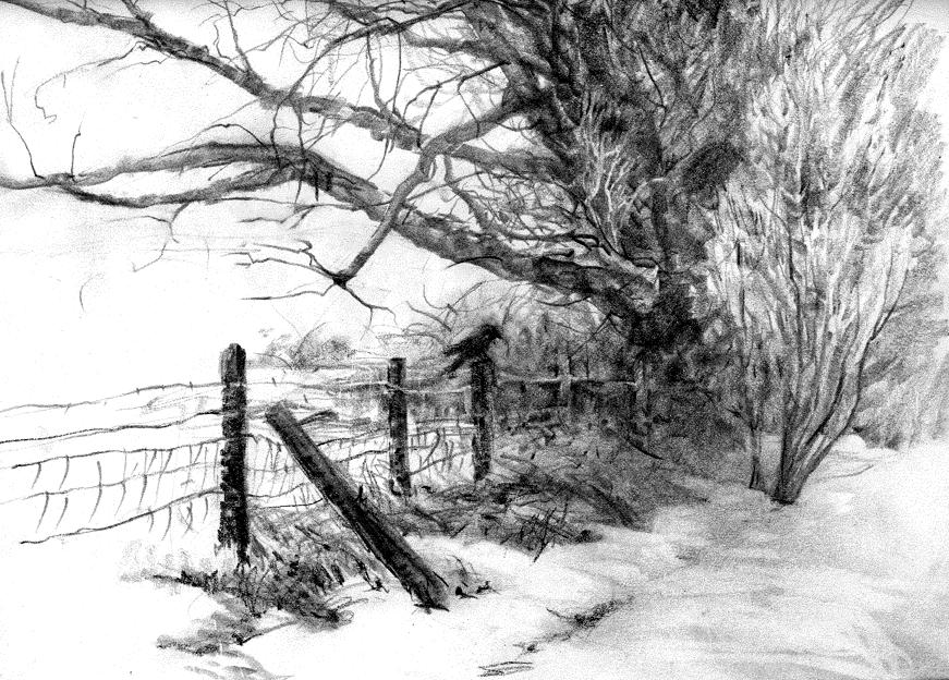 Crow on a Wire pencil sketch by anubistj