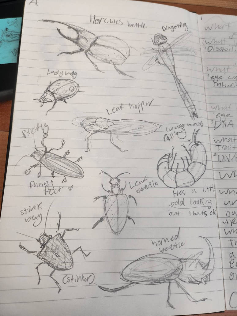 All Insects List Deviantart BUGS! by Sharkygutzz on DeviantArt
