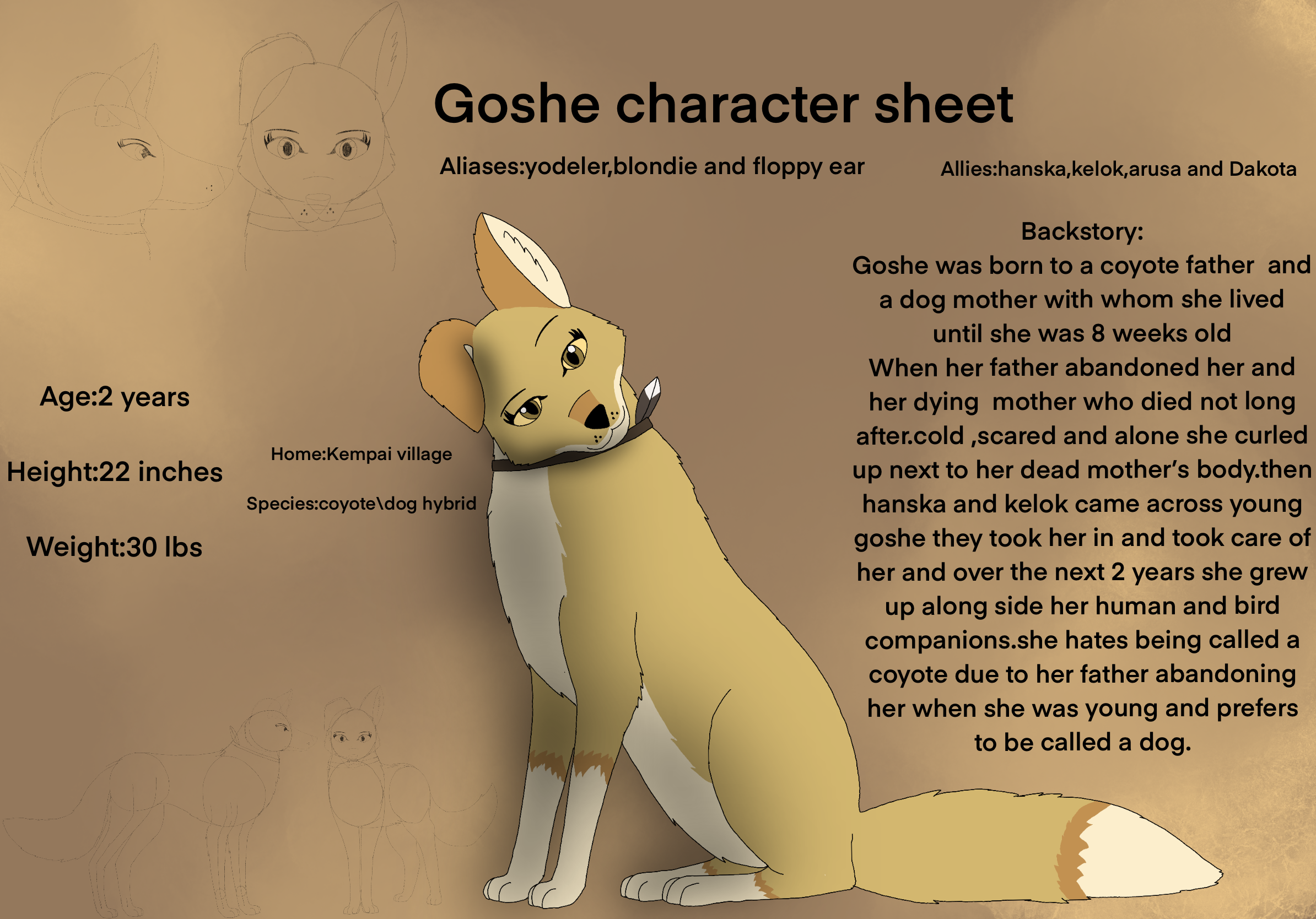 Api Goshe Goshe character sheet by langostinothed on DeviantArt