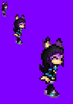 2013 - Niku Sprite