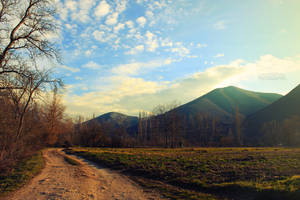 Ciao quasi primavera by LorenzoDiFolco Ciao quasi primavera by LorenzoDiFolco