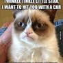 Grumpy cat