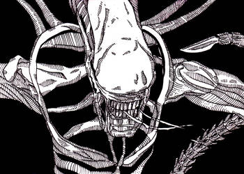 Explore the Best Protomorph Art | DeviantArt