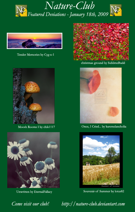Features - January 18, 2009 by Nature-Club