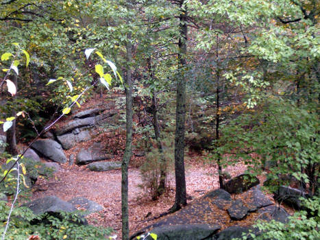 Aerial Rock Shot with Trees