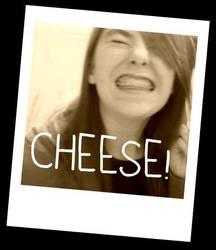 cheese