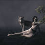 Metamorphoses