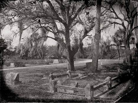 Fernhill Memorial Gardens