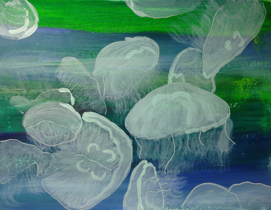 Jellyfish