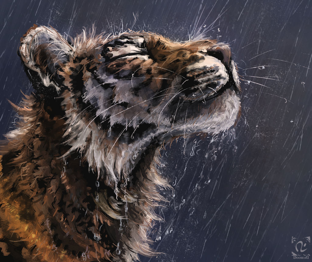 Wet tiger study