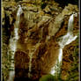 Tangle Falls 1