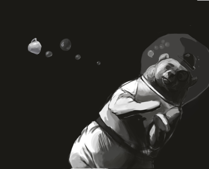 Space Gentleman Bear in Space