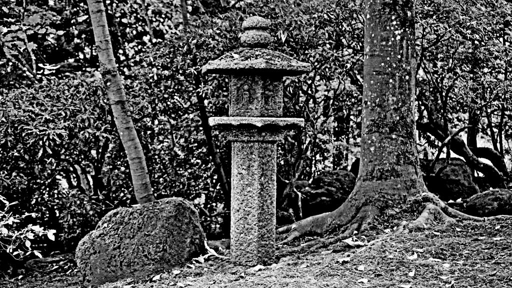 BlacknWhite Dream 107 by caddman on DeviantArt