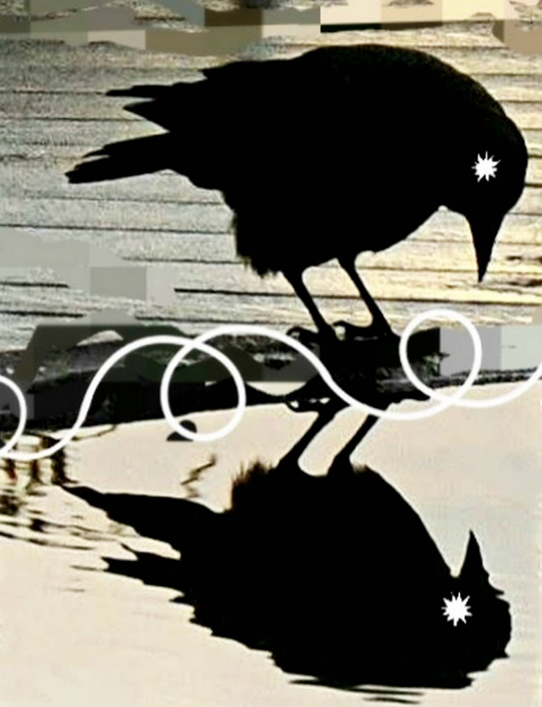 Crow Dream 09