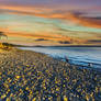 Tech n color Dream 255
