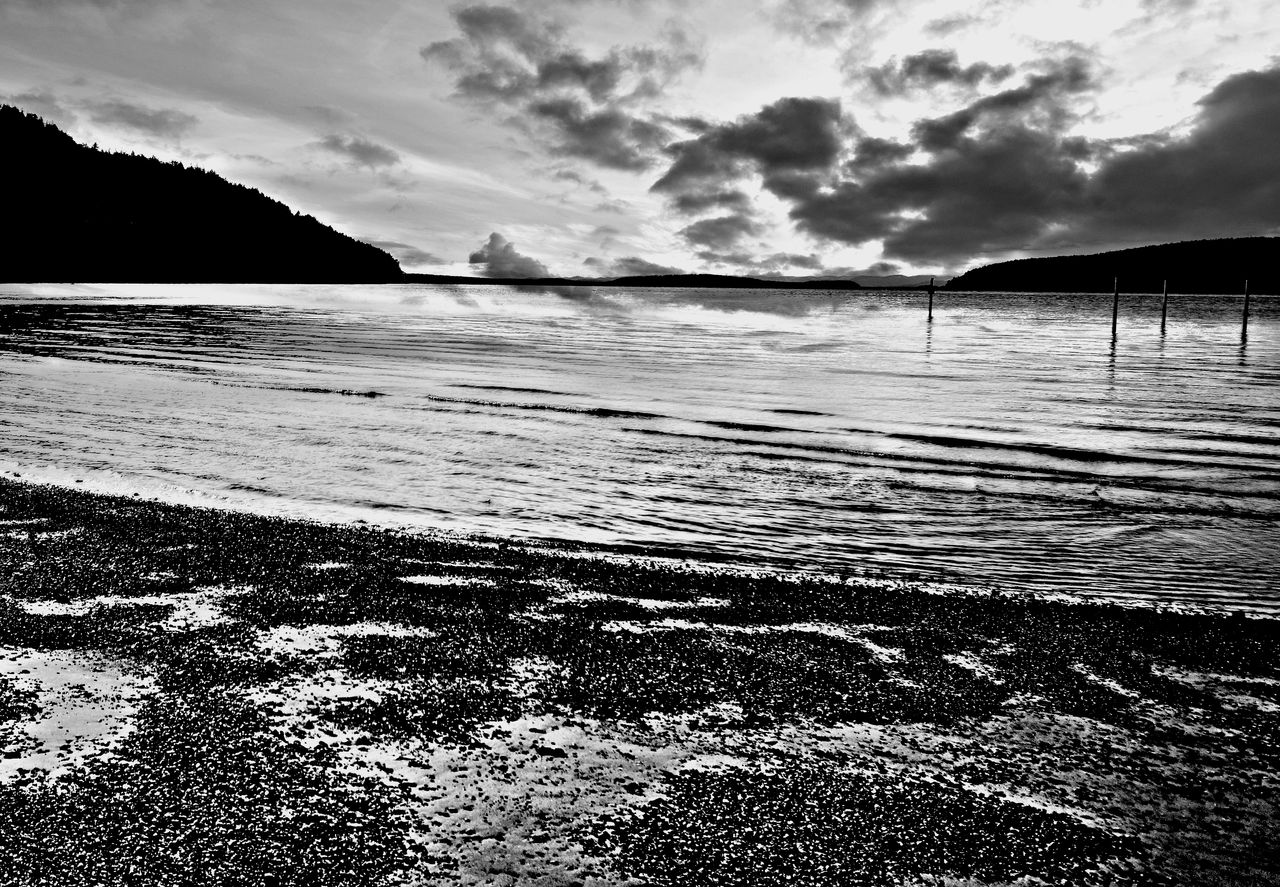 Black-n-White Dream 149