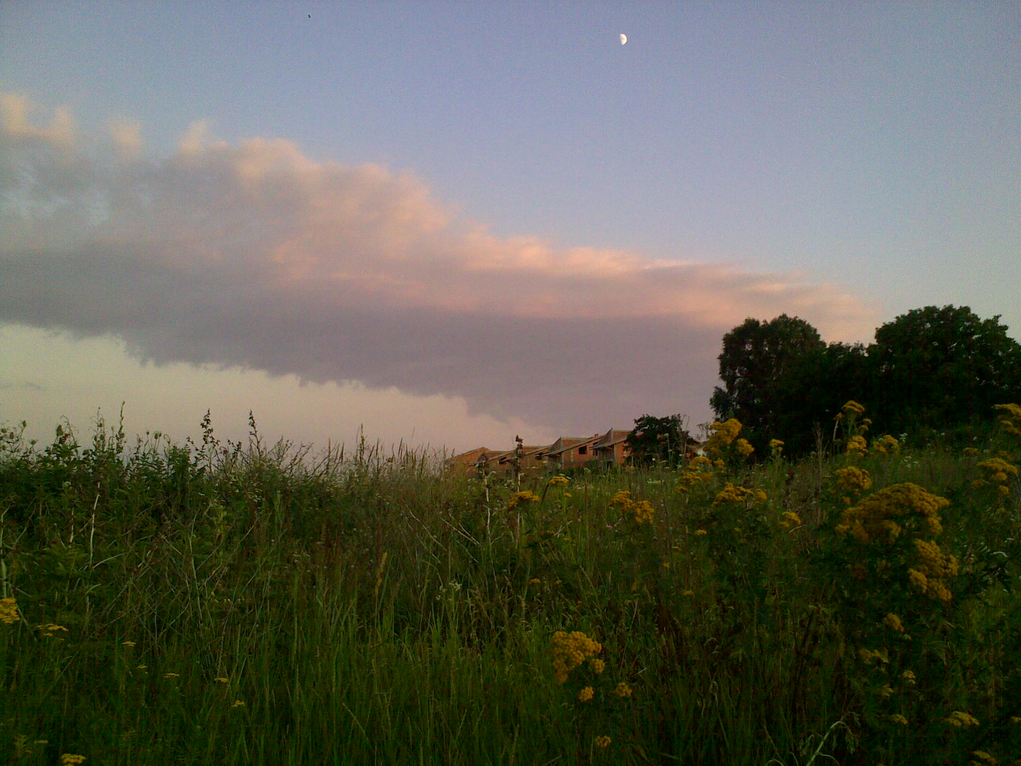 construction, flowers, moon