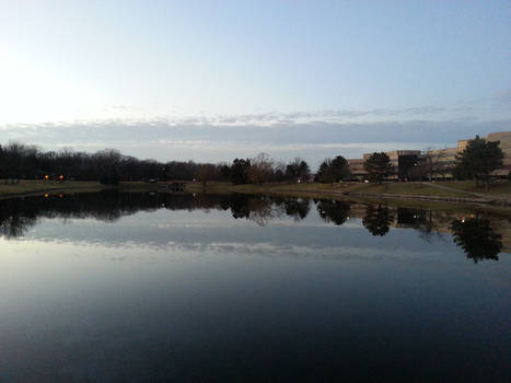 The Pond - Afternoon