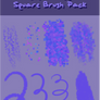 BP: Square Brush Pack