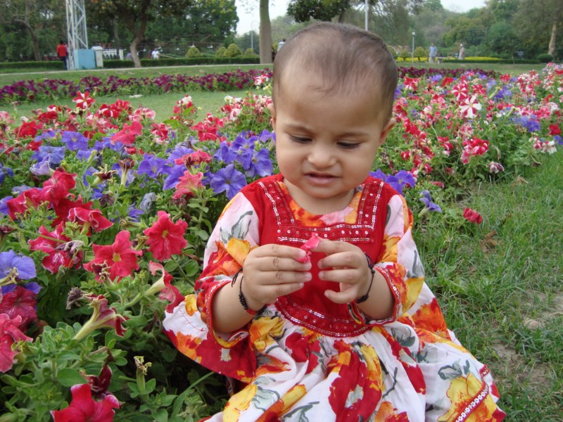 Child in Flowers