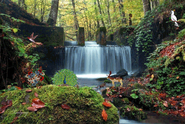 Fallscapes Animation Animated Water Fall Ver.2 by hiaamir on DeviantArt