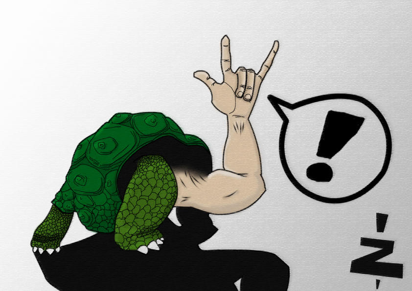 Turtle March Deviantart Three Rocks Rock'n'Roll Turtle by prazerfelipe on DeviantArt