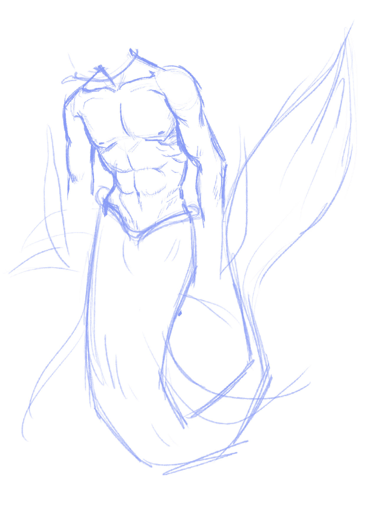 Muscle Mermen male anatomy study - merman by Provellone on DeviantArt