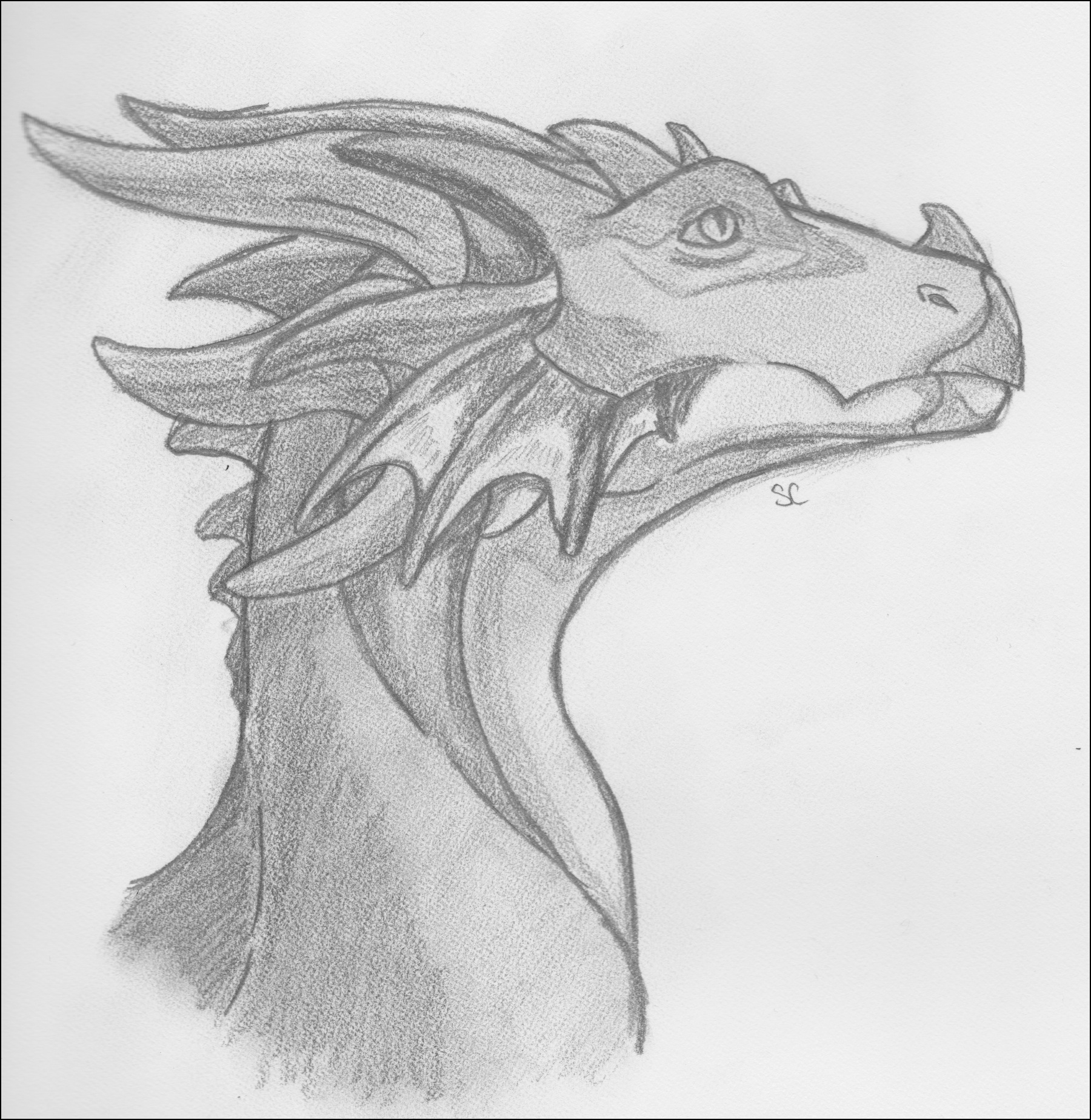 Dragon Head