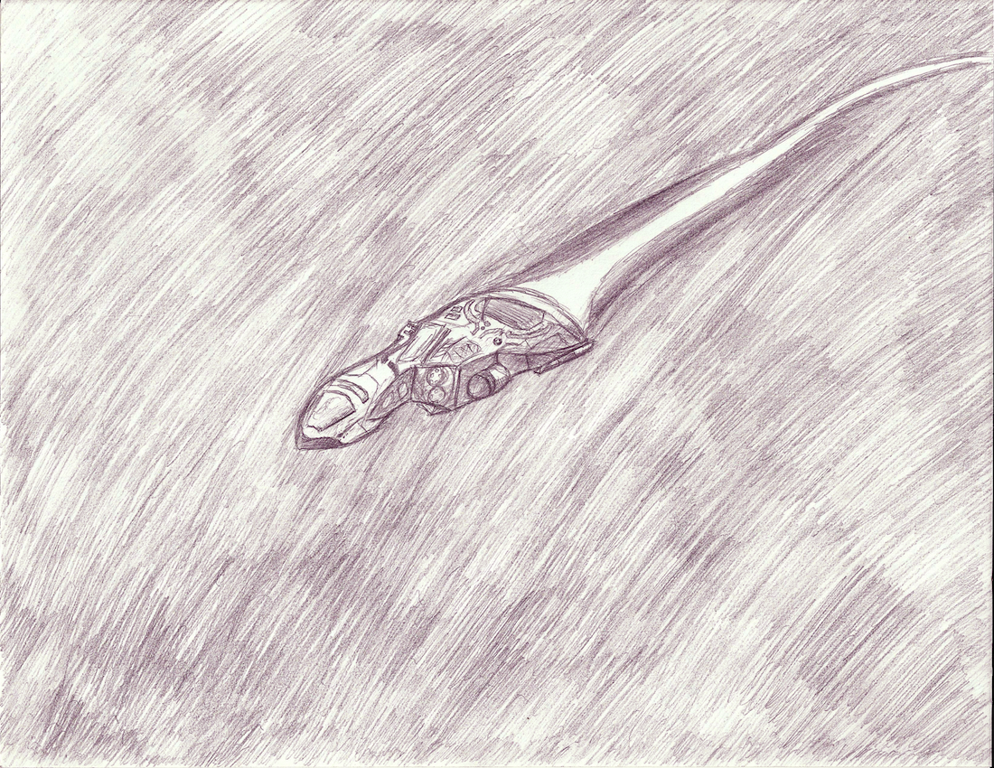 Scout 29 Sketch in Flight