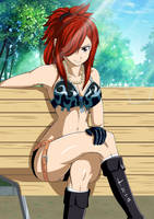 Erza Scarlet Fan Art 2, (Edolas)